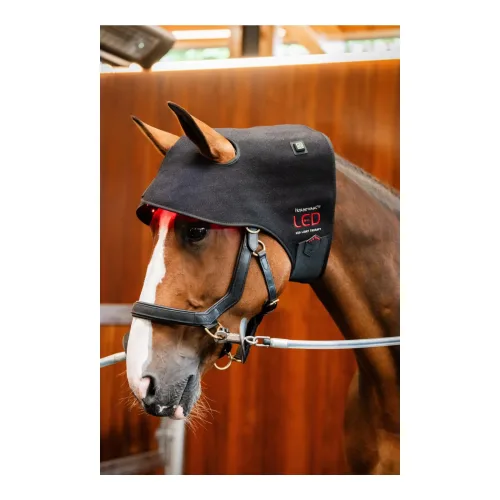 Horseware, Horseware LED Red Light Therapy
Poll Cap - Black/Black -
