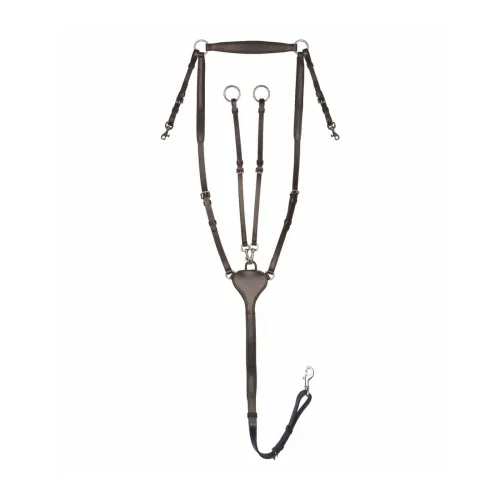 X-Line, Vorderzeug Professional X-Line - Braun -  Farbe: Braun, Grösse: WB