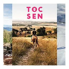 uvex, Uvex Tocsen Crashsensor - black