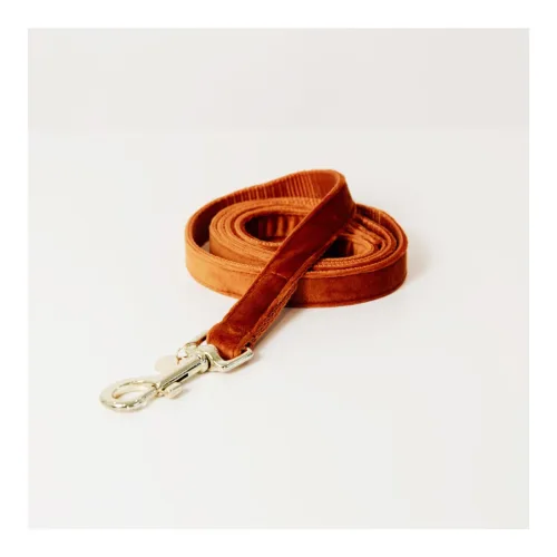 Kentucky Dogwear, Kentucky Dogwear Hundeleine Velvet - Orange -  Länge: 120 cm, Farbe: Orange