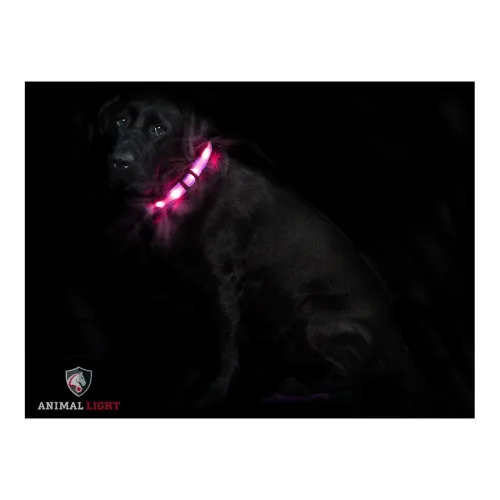 Animal Light, Animal Light Leucht - Hundehalsband "Cash" - Rosa/Pink -  Grösse: S, Farbe: Rosa/Pink