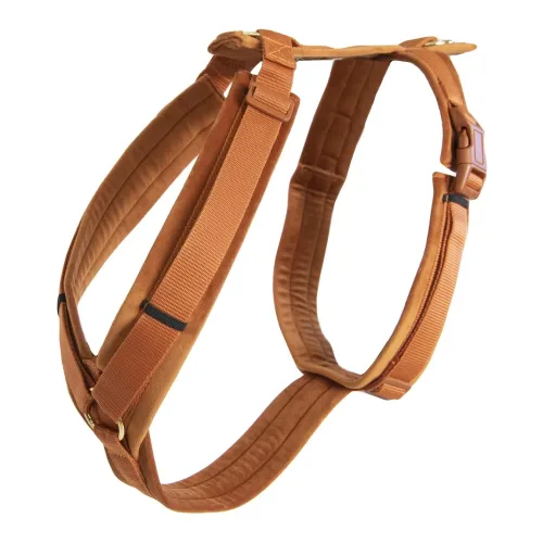 Kentucky Dogwear, Kentucky Dogwear Hundegeschirr Active Velvet