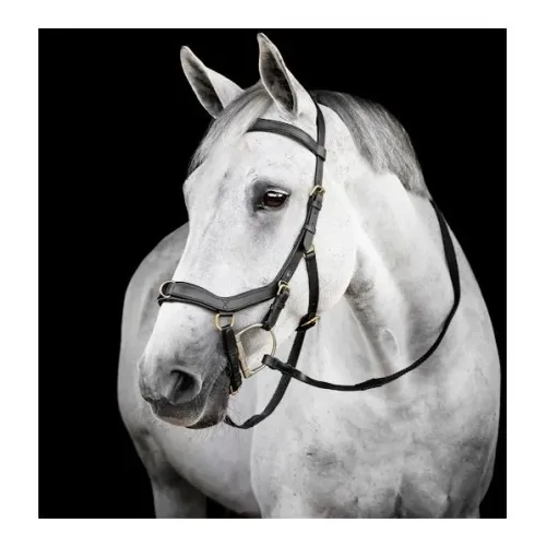 Horseware, Horseware Zaum Micklem Multi - Schwarz -  Grösse Pferd: Cob