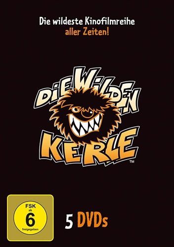 Die Wilden Kerle - 1-5 Sammelbox (DE)