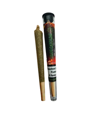 Paradise Weeds, Grappe Gazoline Vorgerollter CBD Joint Indoor - 1pc