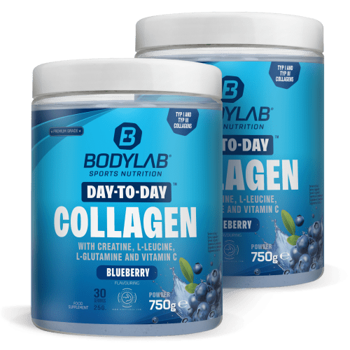 Bodylab24, Day to Day Collagen - 750g - Blueberry