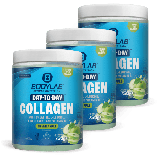 Bodylab24, Day to Day Collagen - 750g - Blueberry