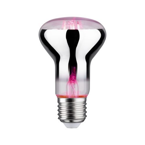 Paulmann, Paulmann LED-Pflanzenlampe Wachstum 230 V E27 6.5 W Bernstein 1 St.