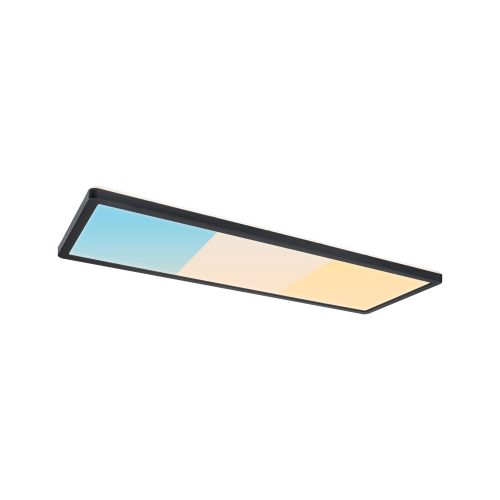 Paulmann, Paulmann Atria Shine 71313 LED-Panel 15.2 W Warmweiß Schwarz