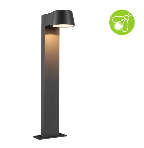 Paulmann, Paulmann 94715 Capea 2200K Wegeleuchte LED 6 W Schwarz