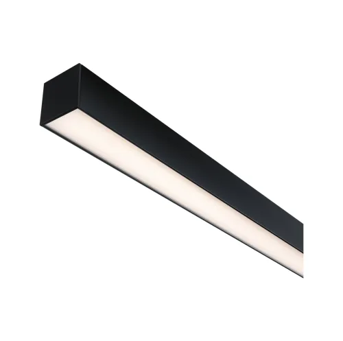 Paulmann, Paulmann 98168 Linion LED-Deckenleuchte LED 17 W Schwarz