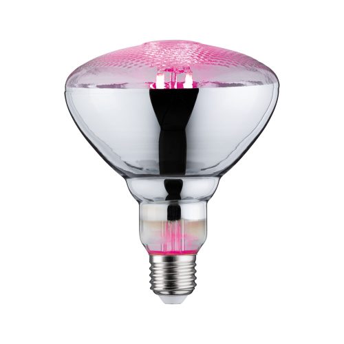 Paulmann, Paulmann LED-Pflanzenlampe Wachstum 230 V E27 6.5 W Bernstein 1 St.
