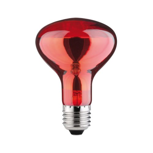 Paulmann, Paulmann Infrarotlampe E27 60 W (Ø x L) 80 mm x 115 mm 230 V 1 St.