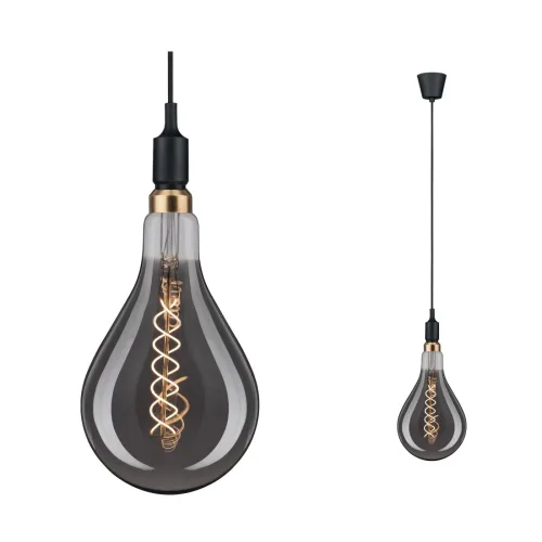 Paulmann, Paulmann Ketil 50381 Pendelleuchte LED E27 Schwarz