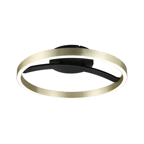 Paulmann, Paulmann 94927 Melira LED-Deckenleuchte 24 W Schwarz (matt), Gold