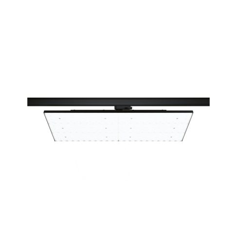Paulmann, Paulmann ProRail3 Kratos LED-Schienenstrahler ProRail3 75 W LED Schwarz
