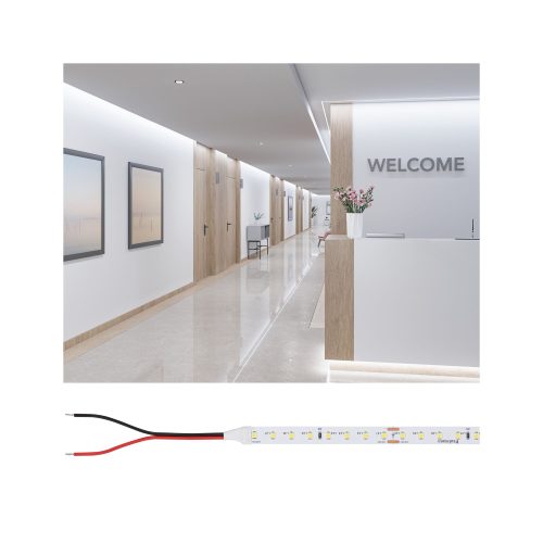Paulmann, Paulmann Strip Gold P75 78452 LED-Streifen EEK: E (A - G) mit offenem Kabelende 24 V 10000 mm Tageslichtweiß 10 m