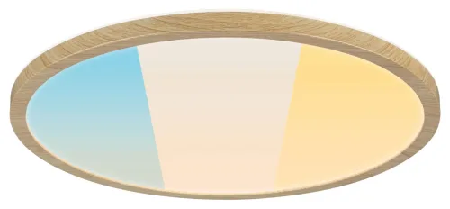 Paulmann, Paulmann Atria Shine 71260 LED-Panel 20.8 W Warmweiß Holz (hell)
