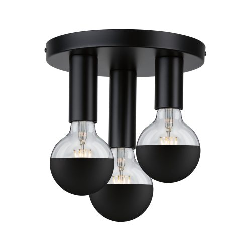 Paulmann, Paulmann 79761 Deckenleuchte E27 Schwarz
