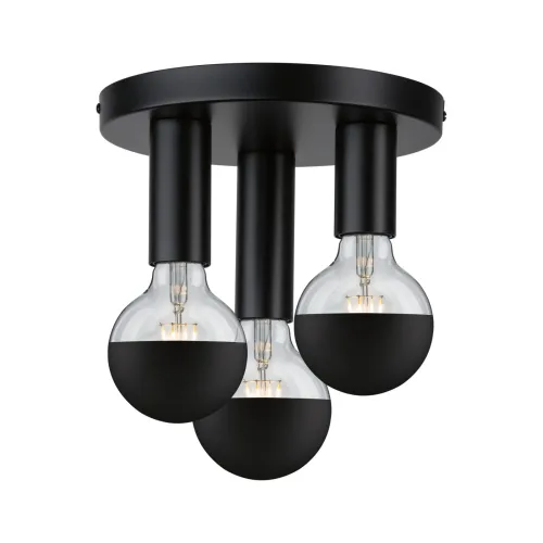 Paulmann, Paulmann 79761 Deckenleuchte E27 Schwarz