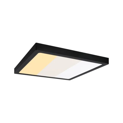 Paulmann, Paulmann Abia 71308 LED-Panel 16 W Warmweiß Schwarz