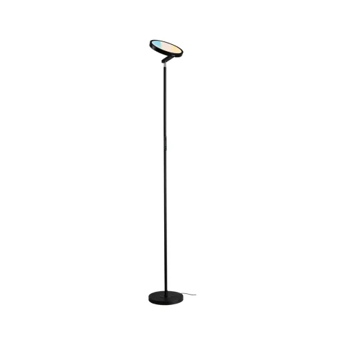 Paulmann, Paulmann 78019 Stehlampe 20 W Schwarz