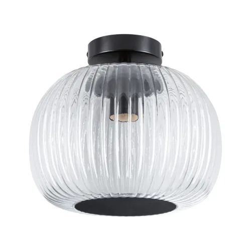 Paulmann, Paulmann 71146 Ruya Deckenleuchte E27 Glas, Schwarz (matt)