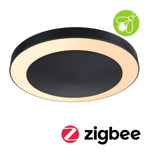 Paulmann, Paulmann Circula 94525 LED-Außendeckenleuchte 14 W Anthrazit