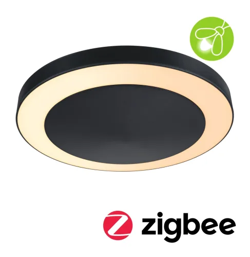Paulmann, Paulmann Circula 94525 LED-Außendeckenleuchte 14 W Anthrazit