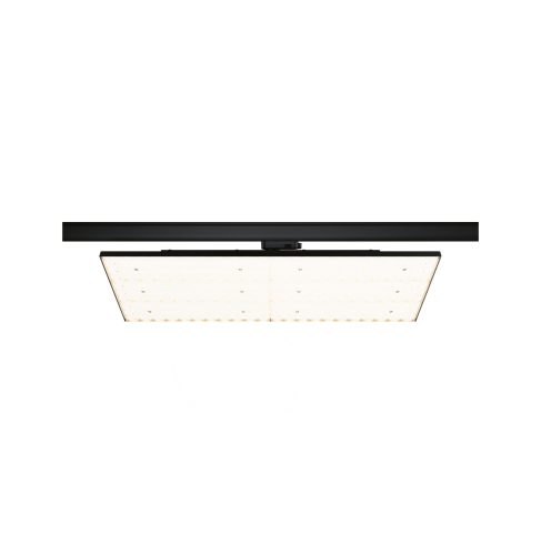 Paulmann, Paulmann ProRail3 Kratos LED-Schienenstrahler ProRail3 75 W LED Schwarz