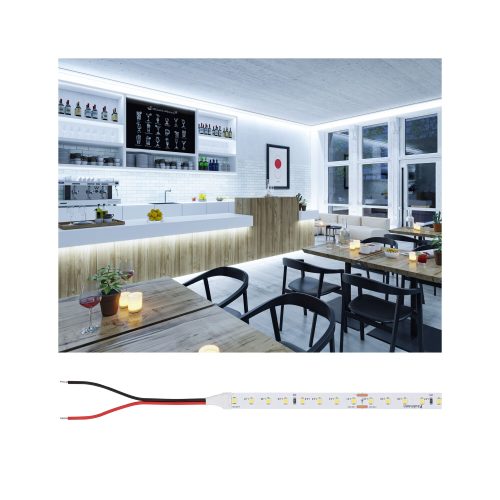 Paulmann, Paulmann Strip Silver P75 76028 LED-Streifen EEK: D (A - G) 24 V 10000 mm Tageslichtweiß 10 m