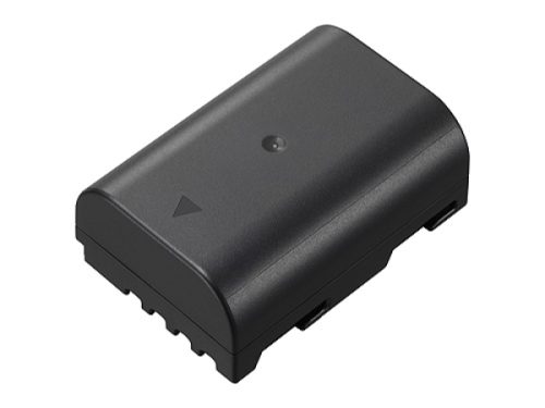 Panasonic, Kamera-Akku Panasonic DMW-BLF19, DMW-BLF19E, DMW-BLF19PP 7.2 V 1860 mAh DMWBLF19E