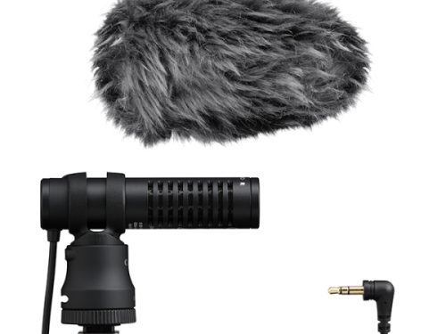 Canon, Canon Mikrofon "DM-E100"