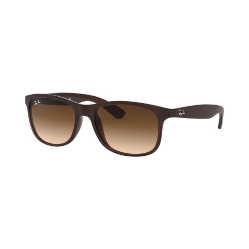 Ray Ban Rb4202 6073/13 55 Andy | Sonnenbrillen