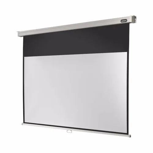 Celexon, celexon Leinwand Rollo Professional 220 x 124 cm - 99