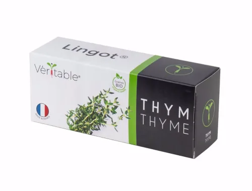 VÉRITABLE, VÉRITABLE Lingot Gemüsegarten Thyme Grün