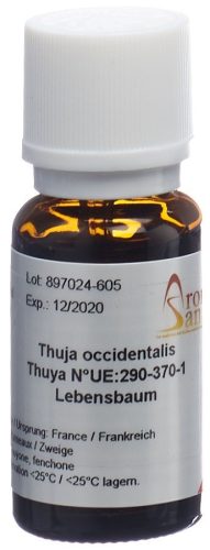 Aromasan, AromaSan Lebensbaum Ätherisches Öl (15ml)