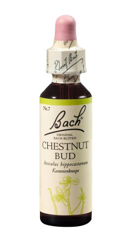 Original Bach Blüten, BACH-BL&Uuml;TEN Original Chestnut Bud No07 20 ml