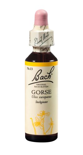 Original Bach Blüten, BACH-BL&Uuml;TEN Original Gorse No13 20 ml