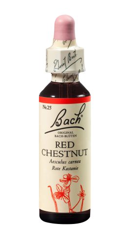 Original Bach Blüten, BACH-BL&Uuml;TEN Original Red Chestnut No25 20 ml