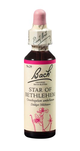 Original Bach Blüten, BACH-BL&Uuml;TEN Original Star of Bethlehem No29 20 ml