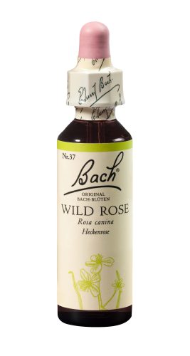 Original Bach Blüten, BACH-BL&Uuml;TEN Original Wild Rose No37 20 ml