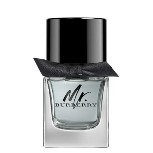 Burberry, BURBERRY Mr. Burberry Eau de Toilette 50 ml Herren