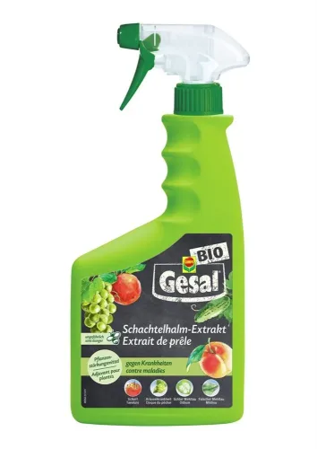 Gesal, Gesal Schachtelhalm-Extrakt | 750 ml