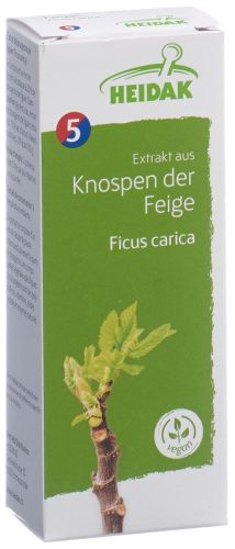 Heidak, HEIDAK Knospe Feige Ficus caria Glycerin Mazerat (30ml)