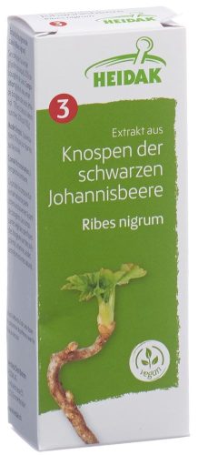 Heidak, HEIDAK Knospe Johannisbeere Ribes nigrum Glycerin Mazerat (30ml)