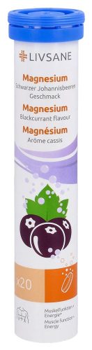 Livsane, Livsane Magnesium Schwarzer Johannisbeeren (20 Stk)