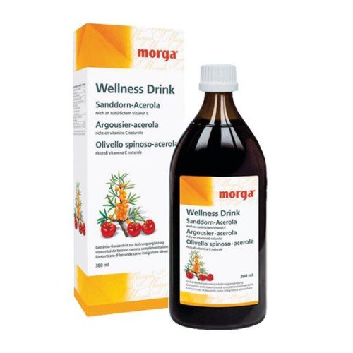 morga, morga Sanddorn Wellness Drink (380ml)