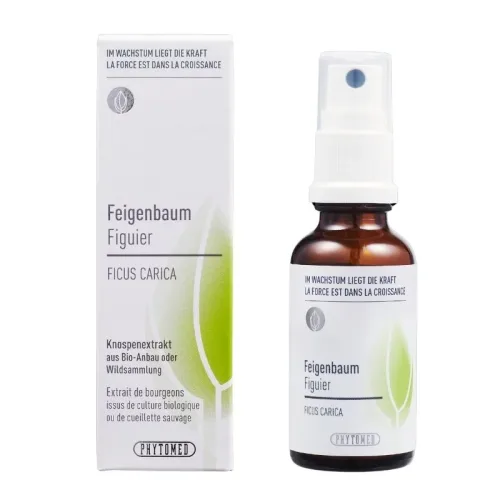 PHYTOMED, Phytomed Knospenextrakt Feigenbaum Spray (30ml)