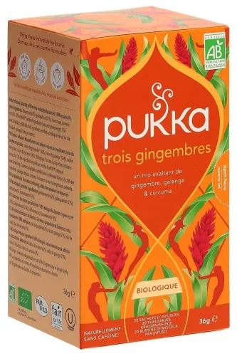 Pukka Trois Gingembres Tee Bio Btl 20 Stk